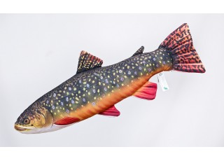 Gaby Brook Trout